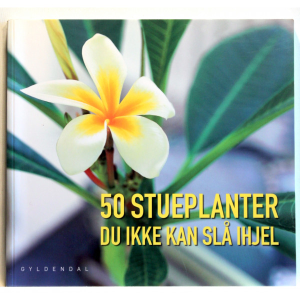 50 stueplanter du ikke kan slå ihjel