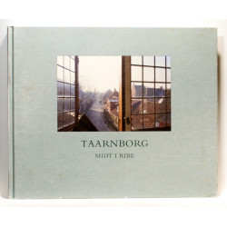 Taarnborg midt i Ribe