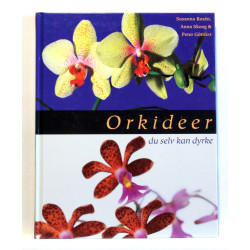 Orkideer du selv kan dyrke