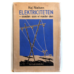 Elektriciteten - saadan som vi møder den