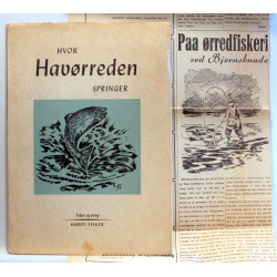 Hvor Havørreden springer