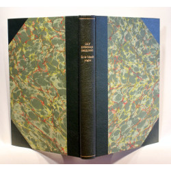 Et år blandt yogier i Indien og Tibet