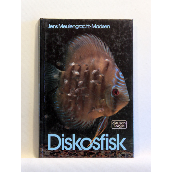Diskosfisk