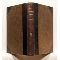 Europas Litteraturhistorie. I det 19de Aarhundrede. Grundlinier og Hovedværker