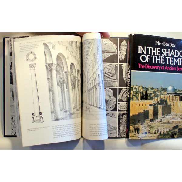 In the Shadow of the Temple: The Discovery of Ancient Jerusalem
