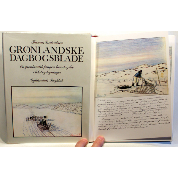 Grønlandske dagbogsblade
