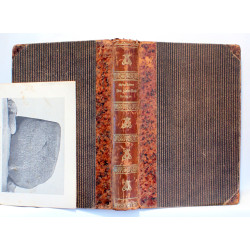 Den Jydske hede Før og Nu. Studier og Skildringer