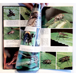 Fluer og myg. Naturguide i farver om fluers og mygs udseende, udvikling, levevis og adfærd