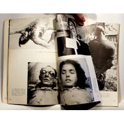 Barbarerne i Frankrig