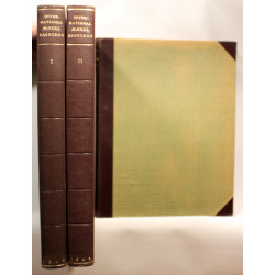 International Møbelhåndbog I-III