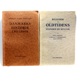 Billeder til oldtidens historie og kultur. Danmarks historie i billeder