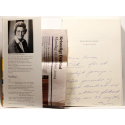 Regnbuelandet. En roman fra Sydslesvig