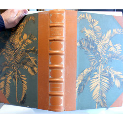 Vore gamle tropekolonier. Dansk Ostindien - Guldkysten