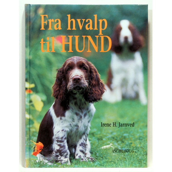 Fra hvalp til hund