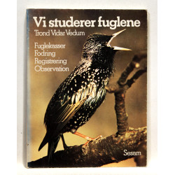 Vi studerer fuglene. Fuglekasser, fodring, registrering, observation