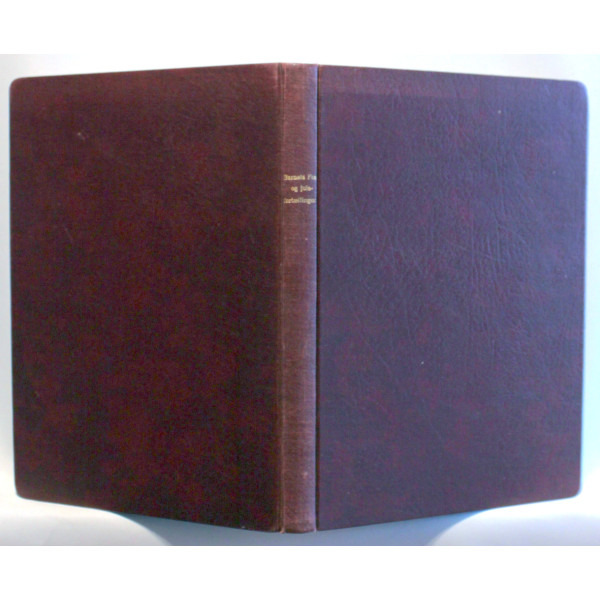 Barnets fest og andre nordiske julefortællinger