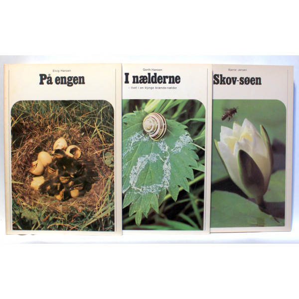 Skovsøen. I nælderne - livet i en klynge brændenælder. På engen