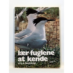 Lær fuglene at kende