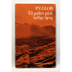 Til guden på et helligt bjerg. Helleristninger på Monte Bego