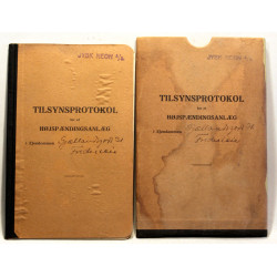 Tilsynsprotokol for et højspændingsanlæg