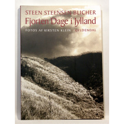 Fjorten dage i Jylland