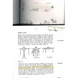 Skovøkologi & Skovning. 2 stk.