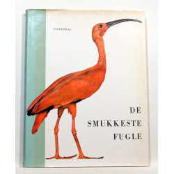 De smukkeste fugle
