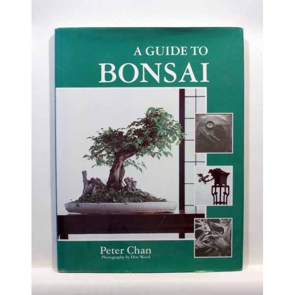 A guide to bonsai
