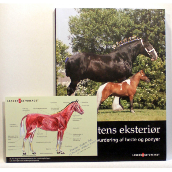 Hestens eksteriør - vurdering af heste og ponyer
