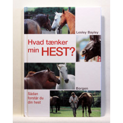 Hvad tænker min hest? Sådan forstår du din hest