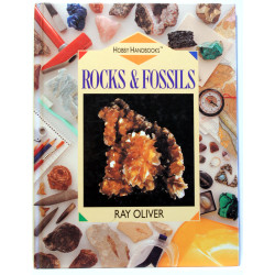 Rocks & Fossils