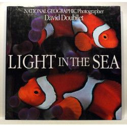 Light in the sea. Evergreen