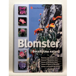 Blomster i Bornholms natur