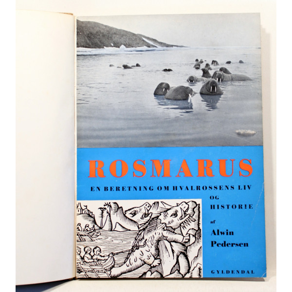 Rosmarus. En beretning om hvalrossens liv og historie