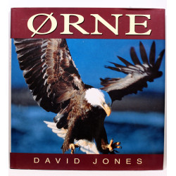 Ørne