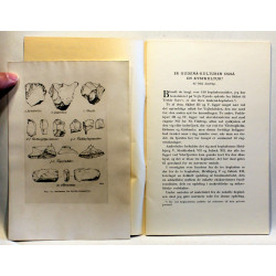 Er Gudenå-Kulturen også en kystkultur?