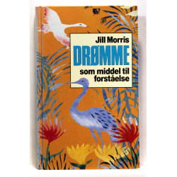 Drømme som middel til forståelse