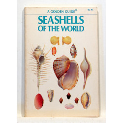 Seashells of the World