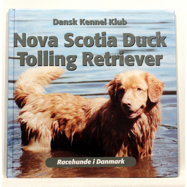 Nova Scotia duck tolling retriever 