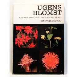 Ugens blomst - en kavalkade af blomster. Året rundt