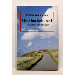 Hvor bor kulturen? og andre funderinger