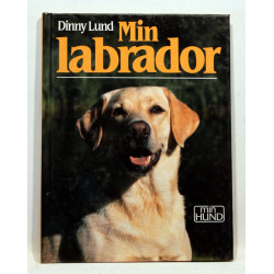 Min labrador