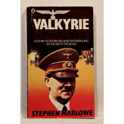 The Valkyrie Encounter