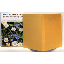Engblomster og markblomster