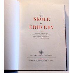 Fra skole til erhverv