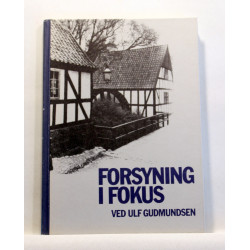 Forsyning i fokus