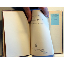  Wagen ohne Pferde. Roman der Verkehrsrevolution