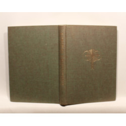 Elementær fjernsynsteknik