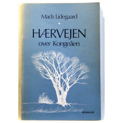 Hærvejen over Kongeåen. Fra Vejle Å til Vojens