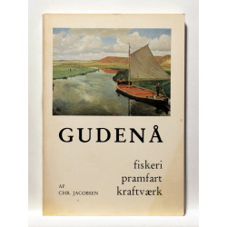Gudenå. Fiskeri, pramfart, kraftværk